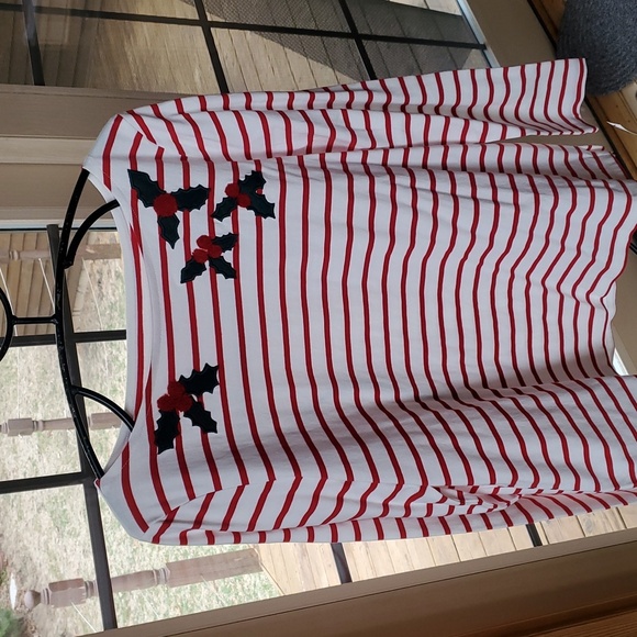Talbots Holly Holiday Embroidered Striped Sz. L Shirt with Embroidered Design - Picture 2 of 11